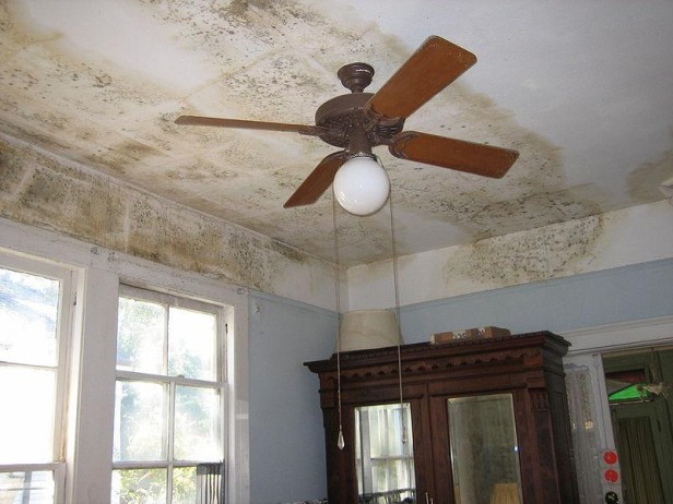 How To Prevent Mold In Your Home