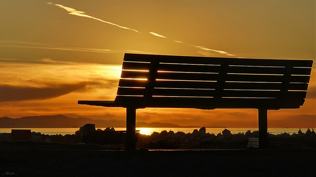 The Bench Has Moved Out Of The Park
