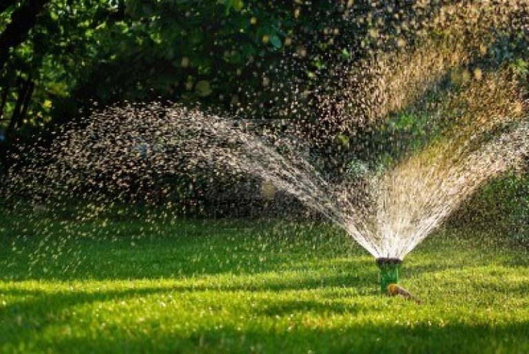 Tips To Install Sprinklers In Your Lawn