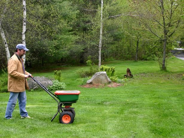 Fertilizing Your Lawn Organically