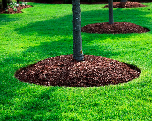 Selecting Your Mulch