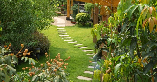 Easy Steps To Renovate Your Garden