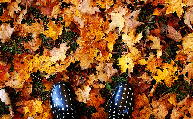 Don’t Trash The Leaves