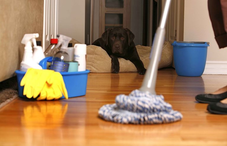 Tips For Hiring A House Cleaner