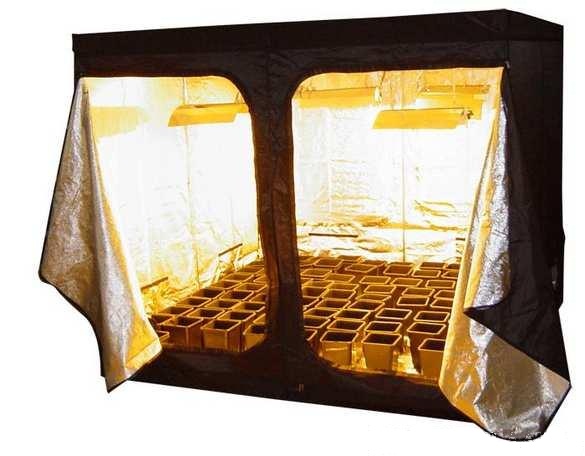 Necessity Of Making Use Of Grow-Tents