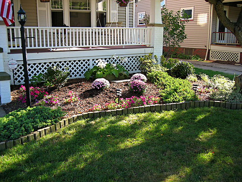 8 Money Saving Landscaping Tips