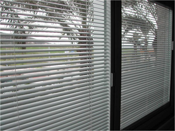 Why Would You Use Integral Blinds In Windows?