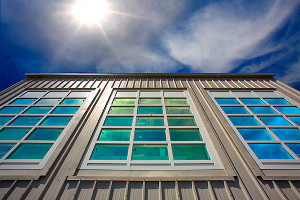 How Window Types Can Significantly Alter Your Energy Bill