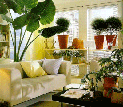How To Decorate With Plants Indoors