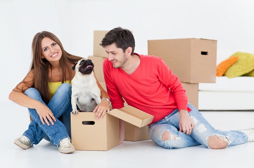 A Guide To Moving Abroad Including Your Pets