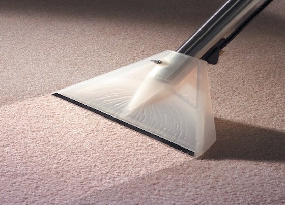 What To Look For In A Carpet Cleaning Company