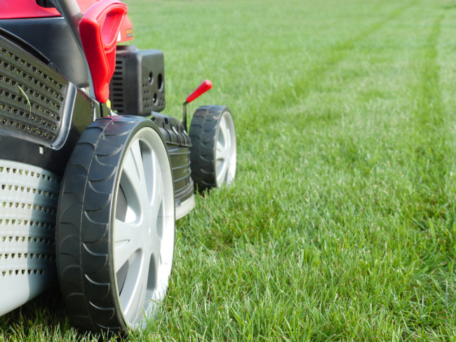 What's The Best Lawnmower For Your Lawn?