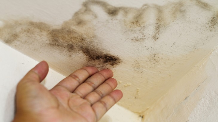 3 Tips To Prevent Mold In Your Home