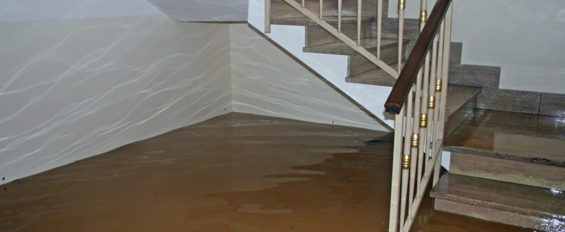 How To Prevent and Fix A Wet Basement