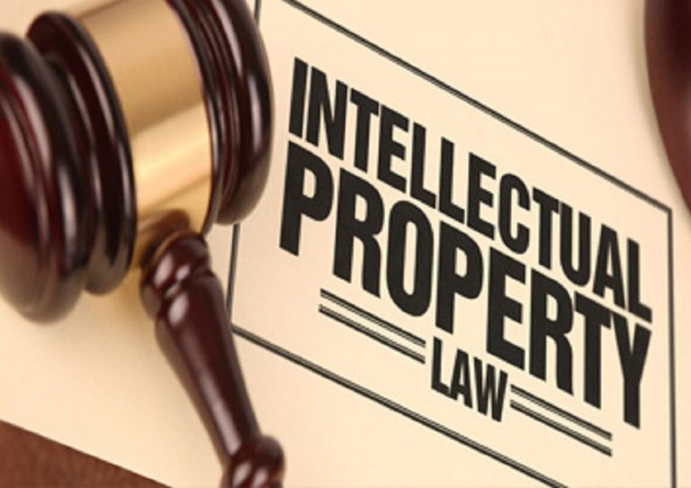 Key Roles and Responsibility Of Property Advocates In Delhi