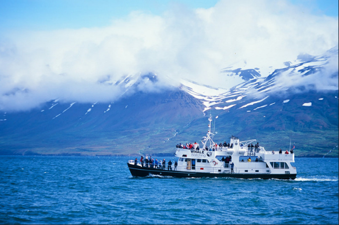 Extreme Iceland: TOP 7 Boating Tours Along The Icy Fiords