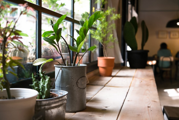 6 Tricks To Make Your Home Cozy