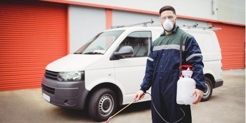 6 Reasons To Hire A Professional Pest Control Company