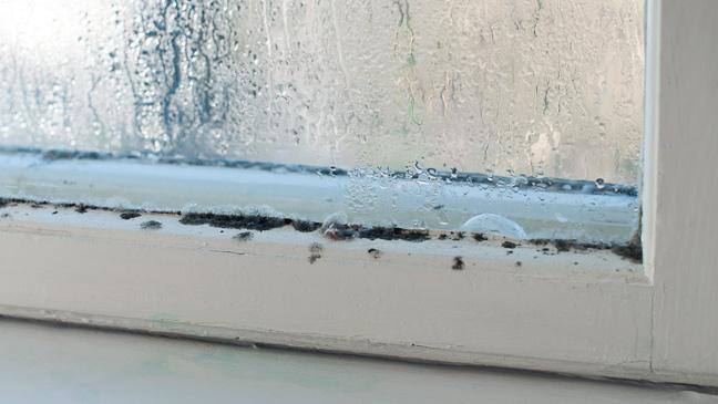 Mold Prevention During The Winter Months