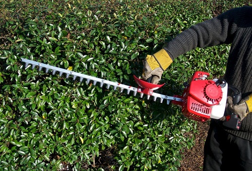 These 9 Mistakes will Destroy Your Hedge Trimmer