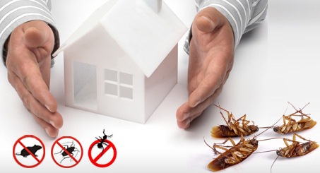 Why Do Pest Control In The Winter?
