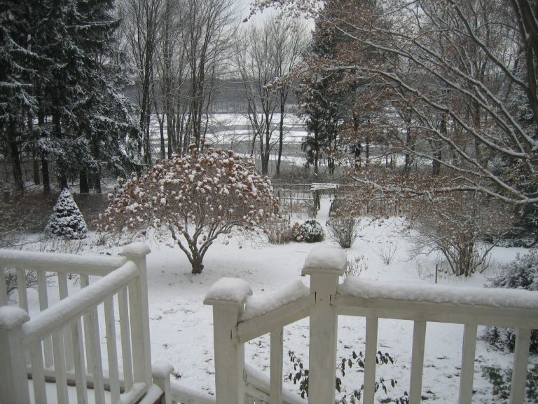How to Prepare Your Garden for an Enjoyable Winter